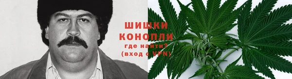 дурь Арсеньев