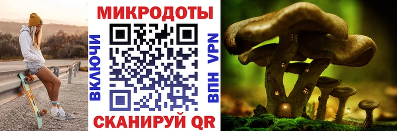 Галлюциногенные грибы ЛСД  сколько стоит  Петухово 